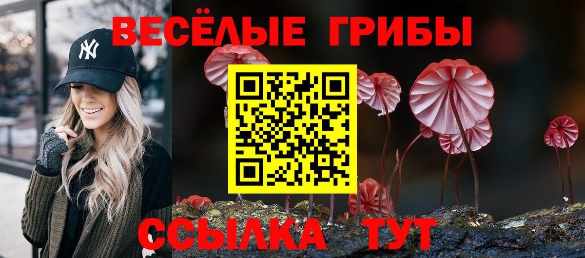 Свободный  Галлюциногенные грибы Psilocybe  закладки  Вход с VPN 