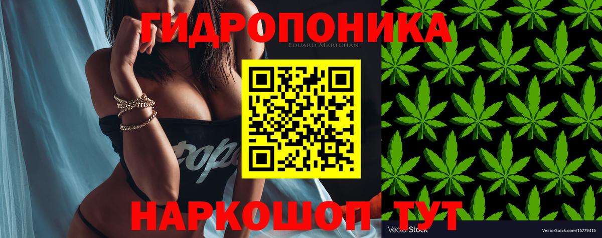 Бошки Шишки конопля  Канабис план  Вход с VPN  Бошки Шишки ГИДРОПОН  Свободный 